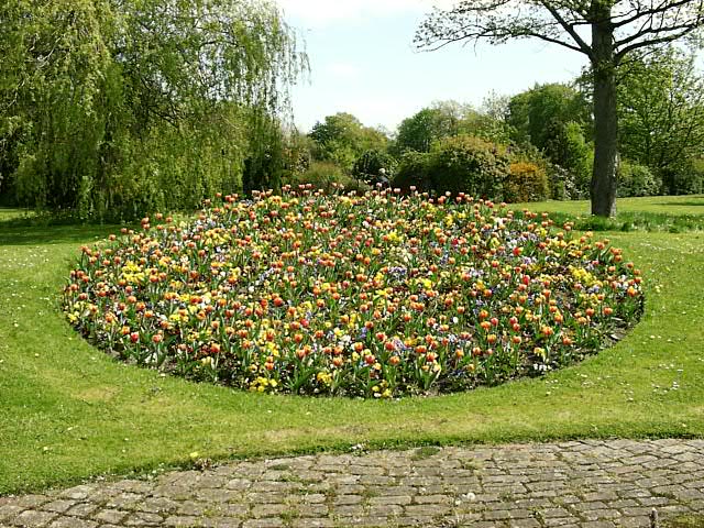 Torkington Park Flowers